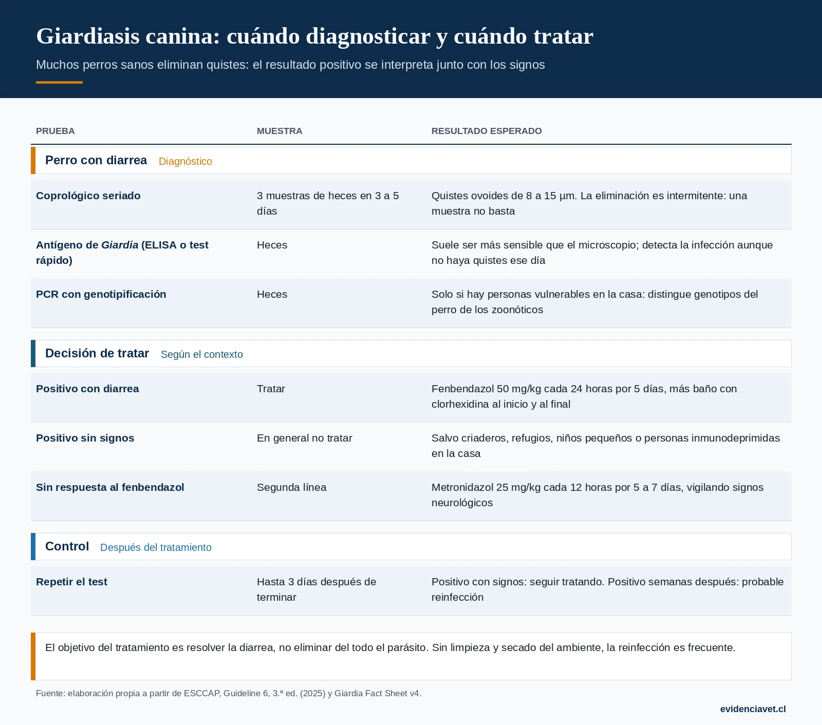 Pruebas para giardiasis, cuándo tratar un resultado positivo y cómo interpretar el control después del tratamiento.