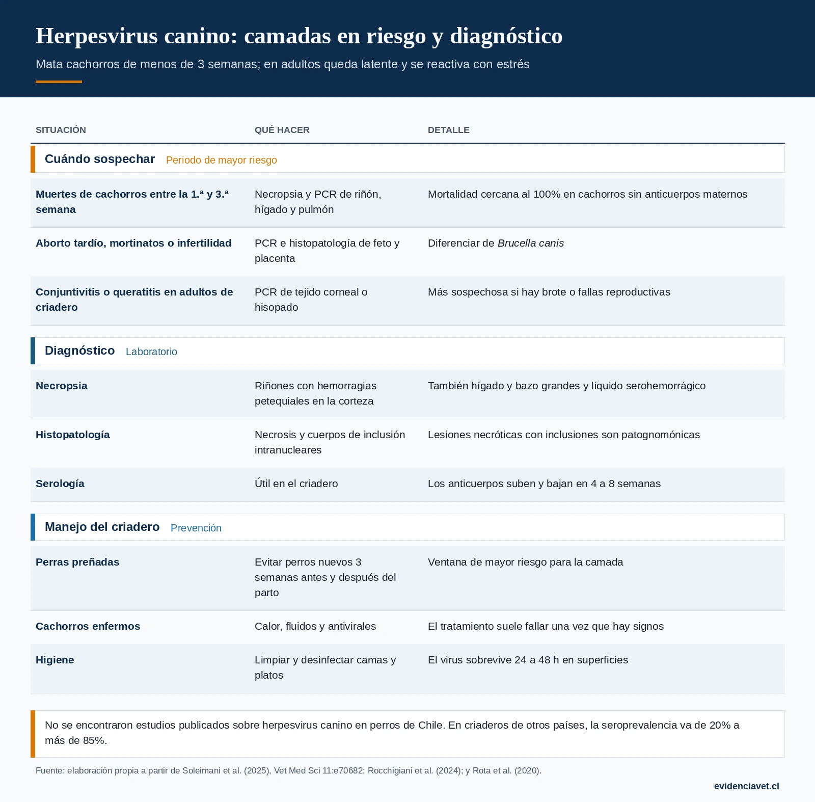 Cuándo sospechar herpesvirus canino, cómo confirmarlo y cómo proteger a la camada en el criadero.