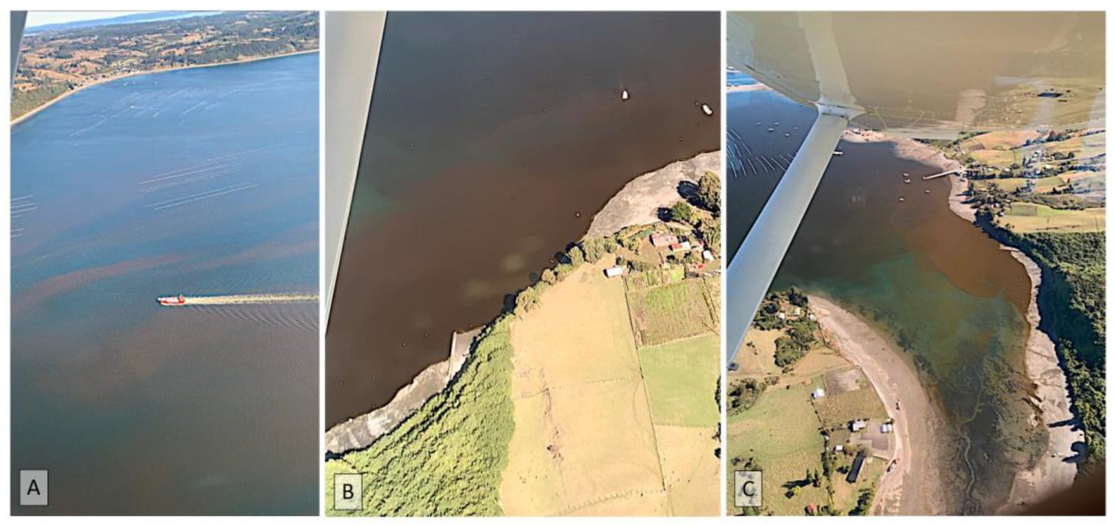 (A a C) Marea café causada por Heterosigma akashiwo, en fotografías aéreas tomadas sobre el mar interior de Chiloé en marzo de 2022.