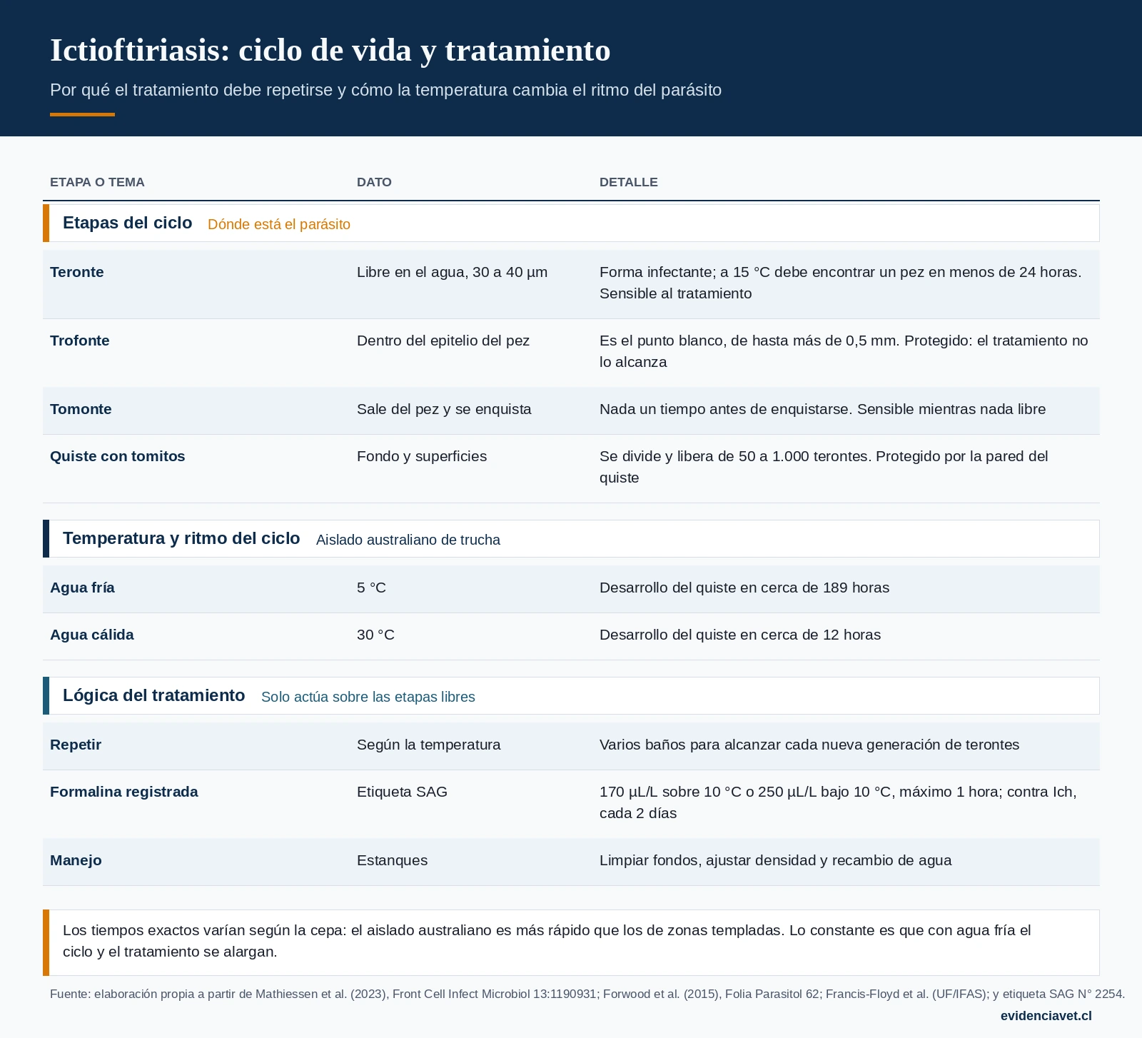 Ciclo de vida de Ichthyophthirius multifiliis, etapas en que actúan los tratamientos y efecto de la temperatura en la duración del ciclo.