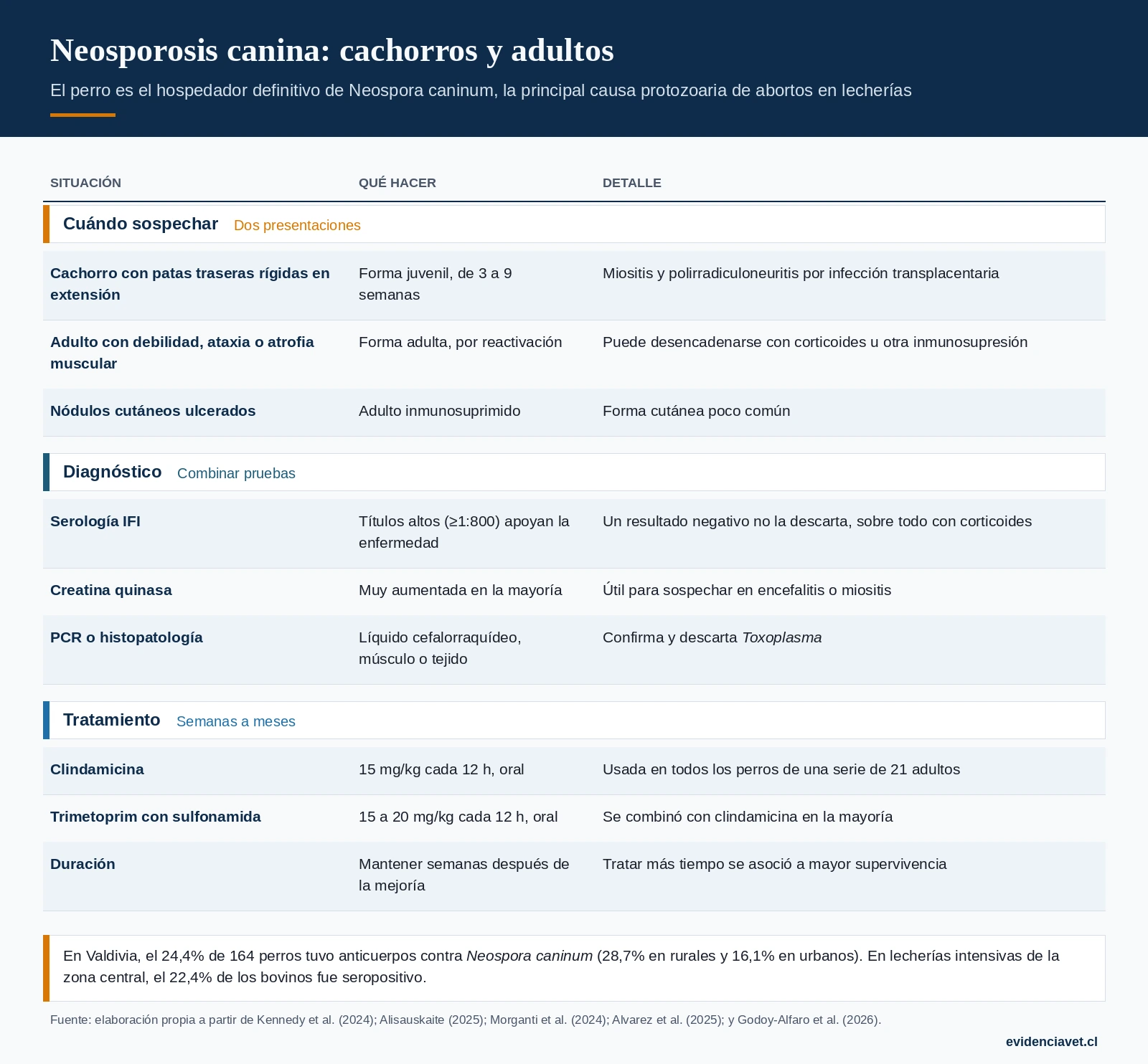 Las dos presentaciones de la neosporosis canina, cómo combinar las pruebas diagnósticas y el tratamiento usado en adultos.