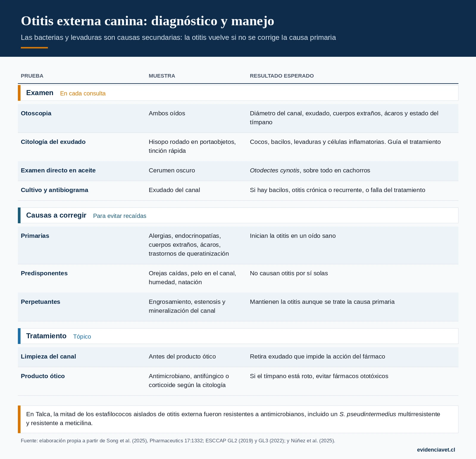 Examen del oído, causas que hay que corregir y bases del tratamiento tópico de la otitis externa.