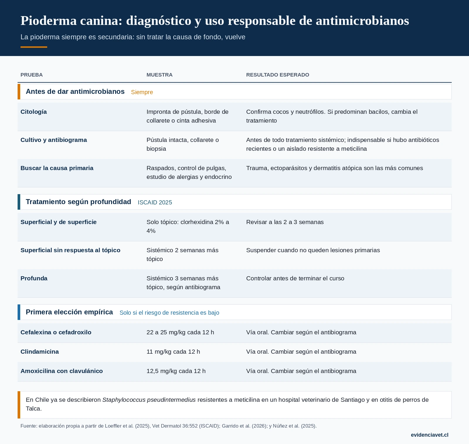 Pruebas antes de dar antimicrobianos, tratamiento según la profundidad y primera elección empírica según la guía ISCAID 2025.