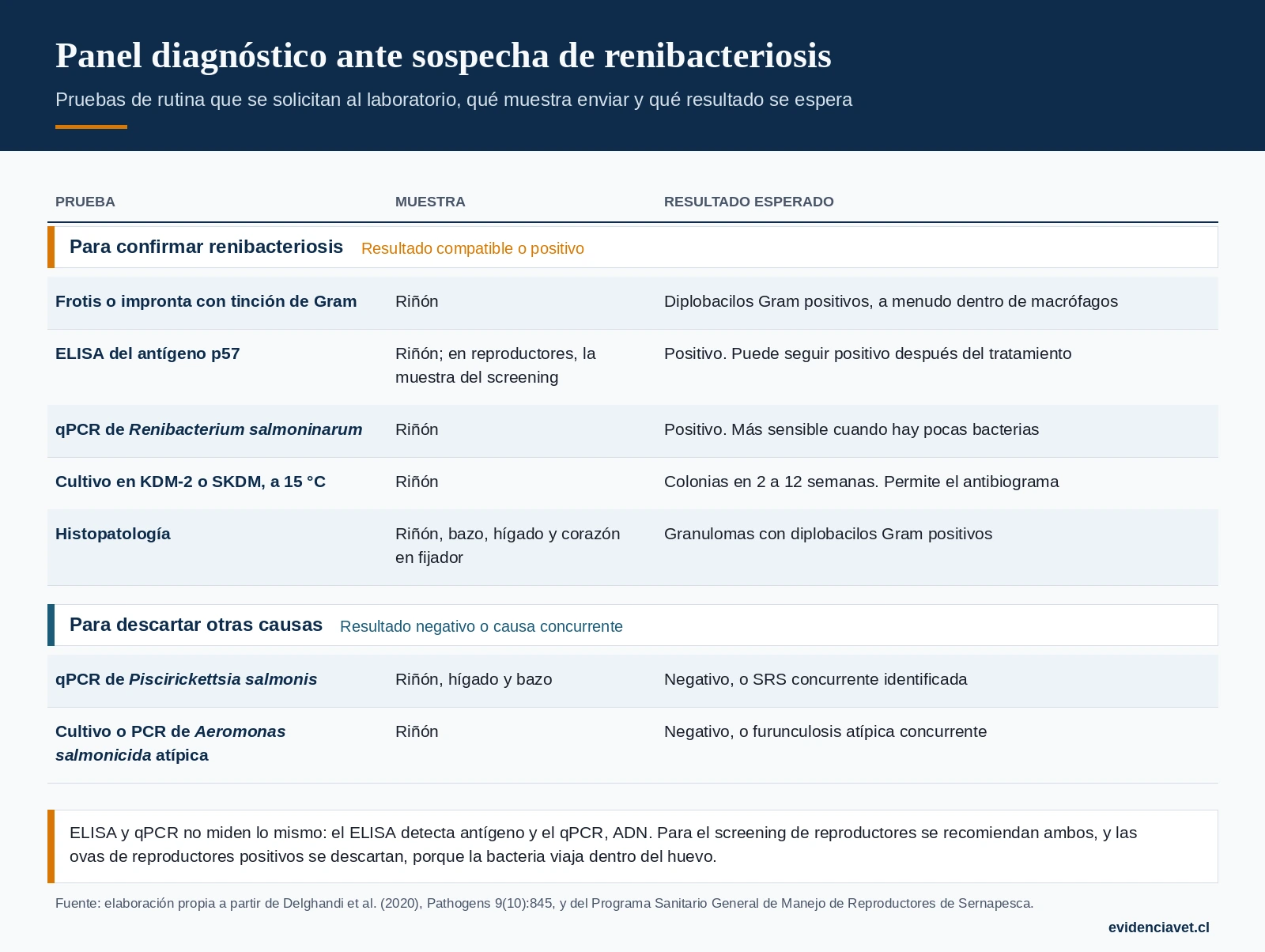 Pruebas de rutina ante sospecha de renibacteriosis: qué muestra enviar al laboratorio y qué resultado apoya o descarta el diagnóstico.