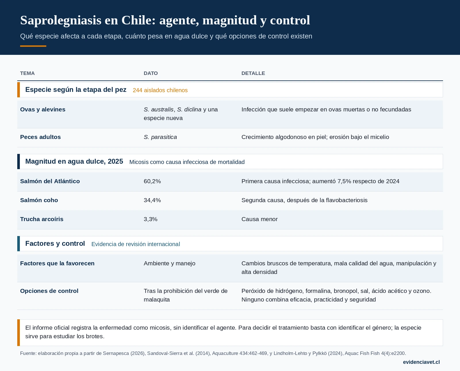 Saprolegniasis en Chile: especies según la etapa del pez, magnitud en agua dulce, factores que la favorecen y opciones de control descritas.