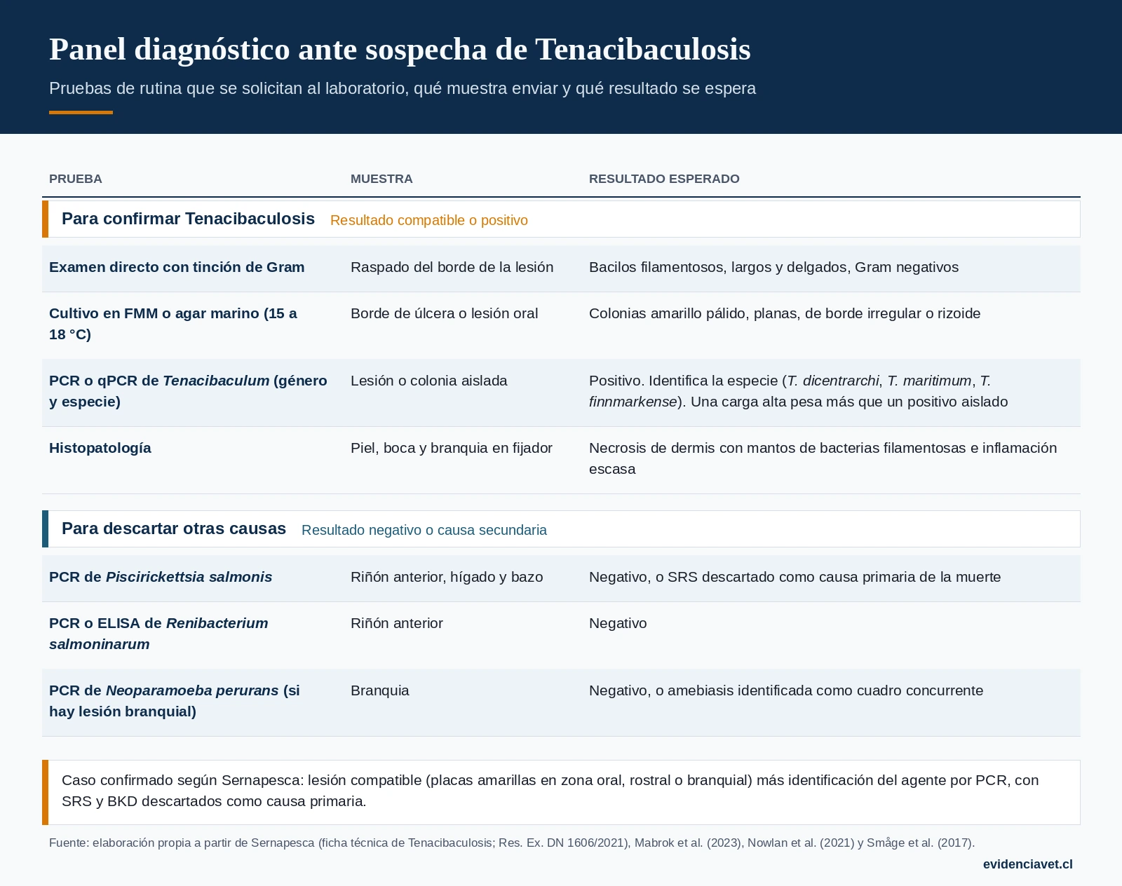 Pruebas de rutina ante sospecha de Tenacibaculosis: qué muestra enviar al laboratorio y qué resultado apoya o descarta el diagnóstico.