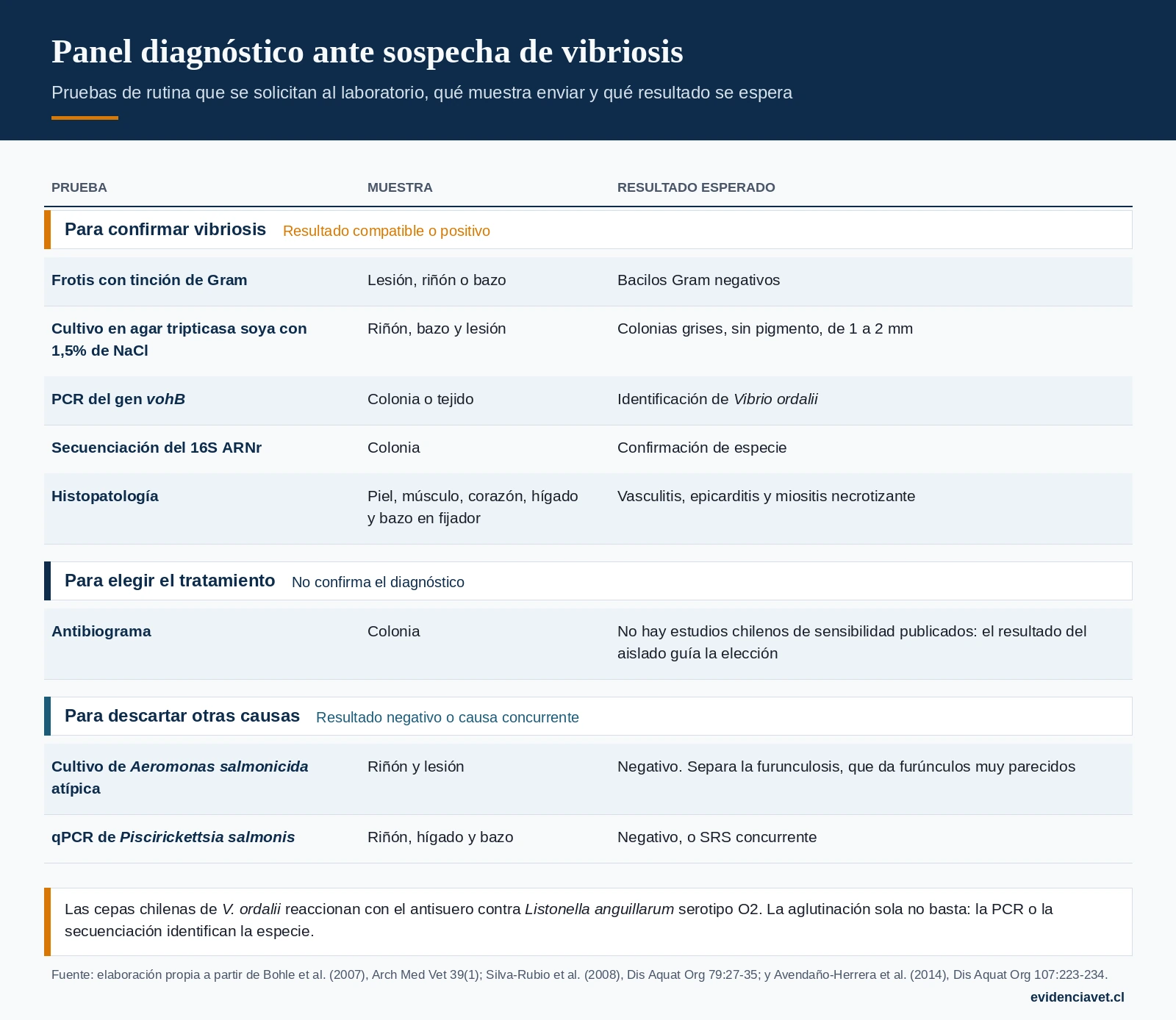 Pruebas ante sospecha de vibriosis: qué muestra enviar al laboratorio y qué resultado apoya o descarta el diagnóstico.