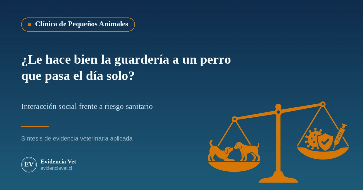 Ilustración de una balanza que compara el juego entre perros con los riesgos sanitarios de las guarderías caninas
