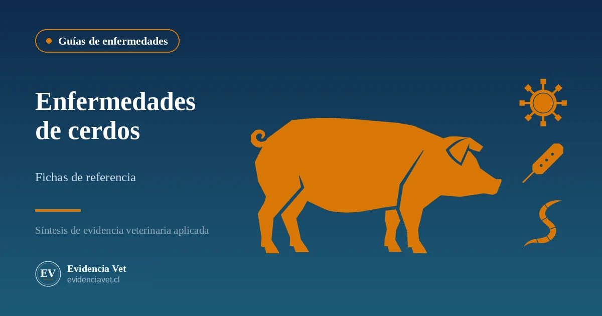 Enfermedades de cerdos