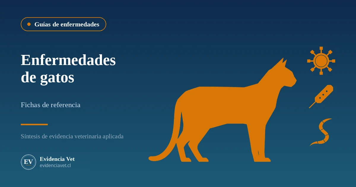 Enfermedades de gatos