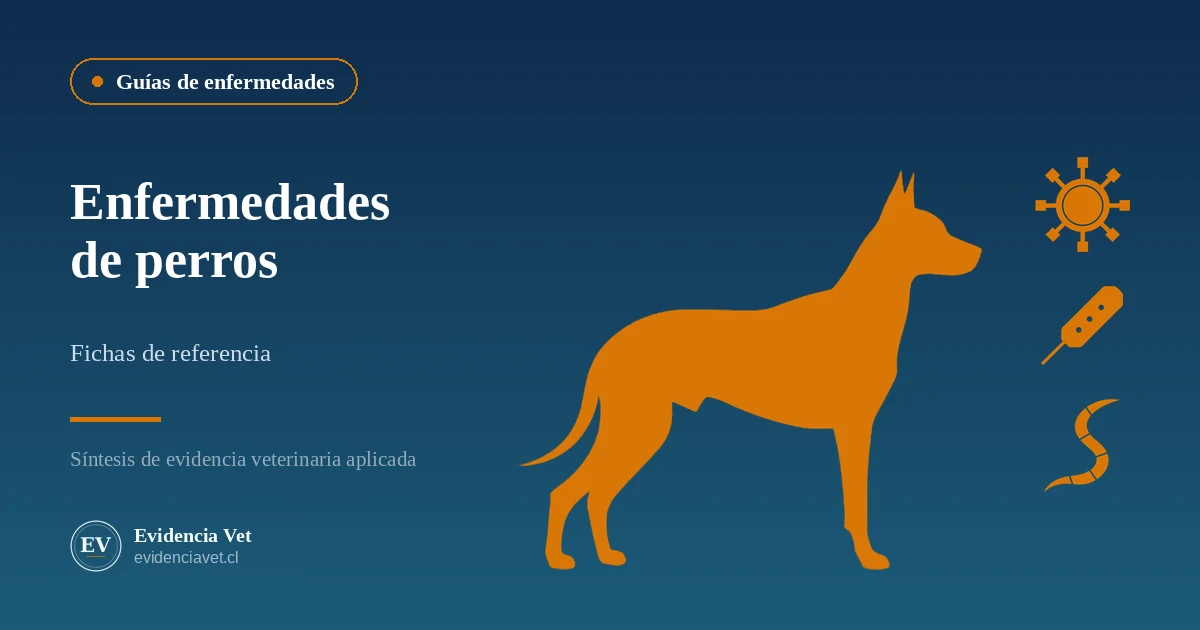 Enfermedades de perros