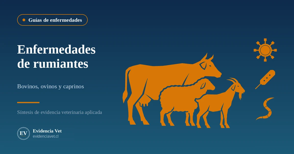Enfermedades de rumiantes: bovinos, ovinos y caprinos