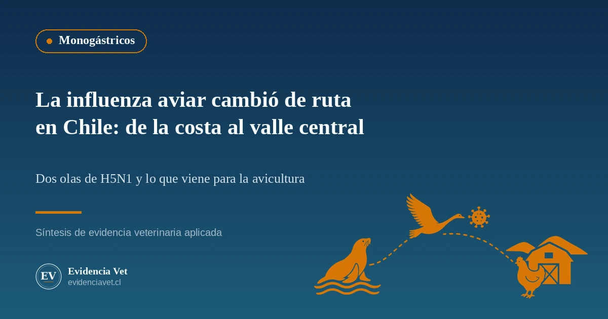 Ilustración de un lobo marino, un cisne y una gallina conectados por una ruta que va de la costa a un plantel del valle central