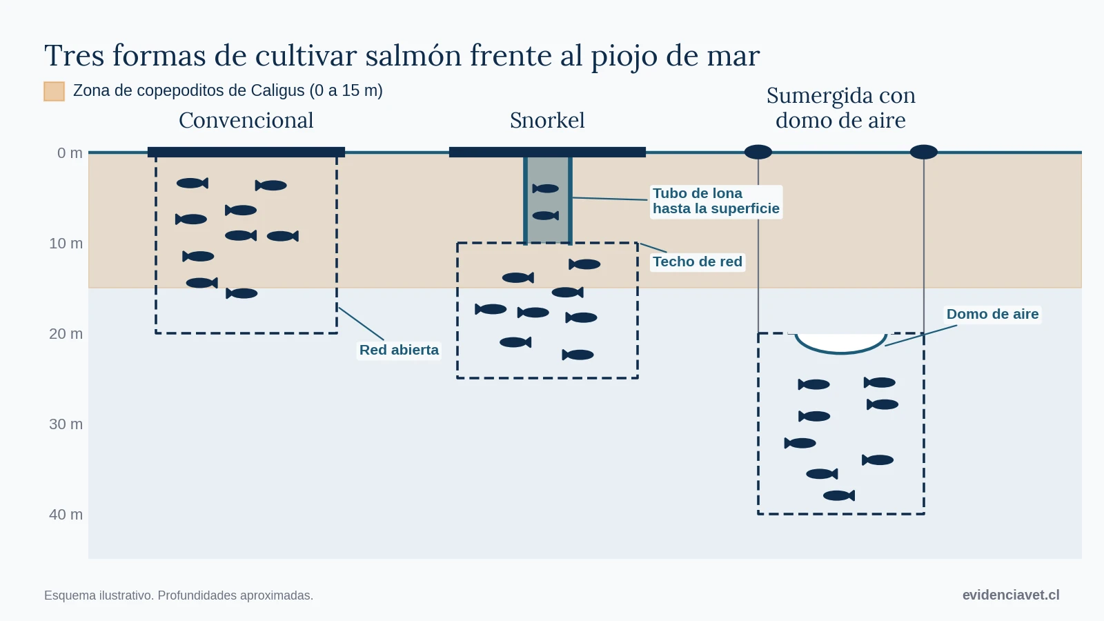 Comparación entre jaula convencional, jaula snorkel y jaula sumergida con domo de aire frente a la zona de copepoditos