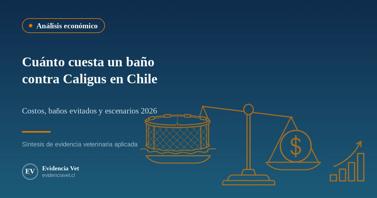 Portada del análisis económico: balanza con una jaula snorkel de un lado y un símbolo de dólar del otro, ilustrando el modelo de costo beneficio