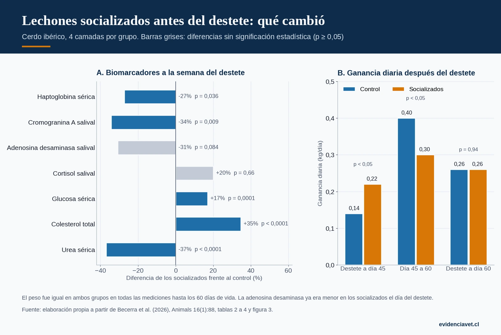 Biomarcadores y crecimiento de lechones socializados y control