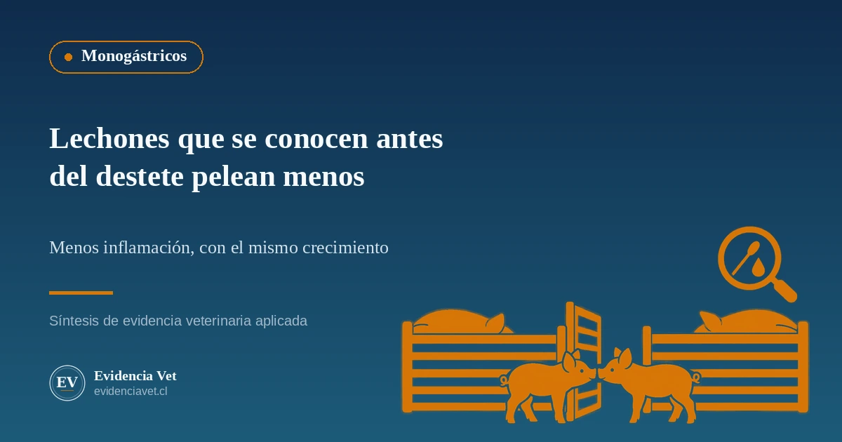 Ilustración de dos lechones que se saludan por una puerta abierta entre corrales de maternidad, con una lupa que muestra una muestra de saliva y una gota de sangre